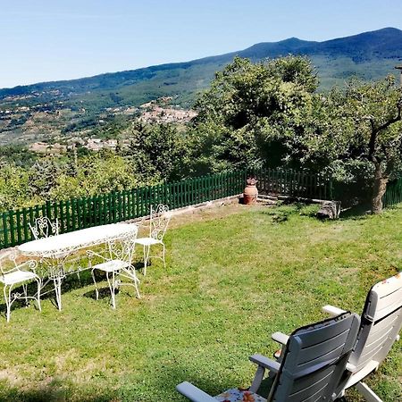 Villa Gioia Montelaterone エクステリア 写真